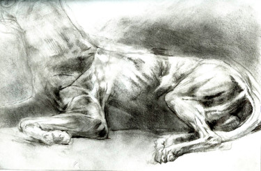 Drawing titled "Chien" by Grégory Geng, Original Artwork, Pencil