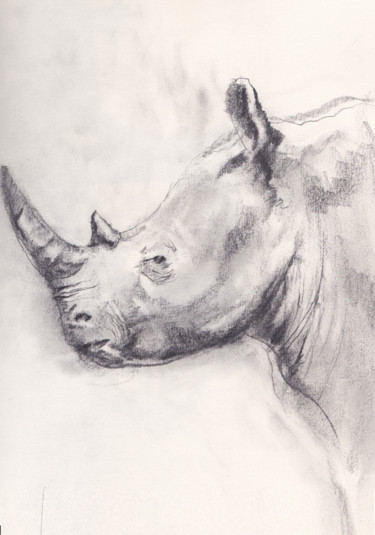 Drawing titled "Rhino" by Grégory Geng, Original Artwork, Pencil