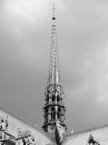 Photography titled "Notre-Dame de Paris…" by Grégory Lejeune, Original Artwork