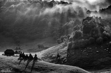 Photographie intitulée "Morning Rays" par Grigore Roibu, Œuvre d'art originale, Photographie numérique
