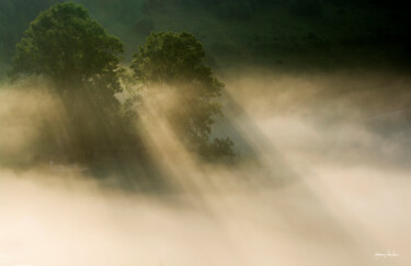 Photography titled "Misty Mornings" by Grigore Roibu, Original Artwork, Digital Photography