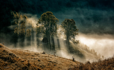 Fotografía titulada "Light and Shadow" por Grigore Roibu, Obra de arte original, Impresión digital