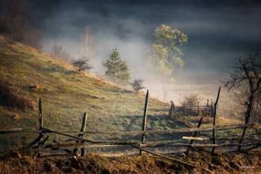 Photographie intitulée "Morning" par Grigore Roibu, Œuvre d'art originale, Photographie numérique