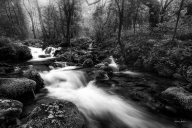 Photographie intitulée "Fast Waters In The…" par Grigore Roibu, Œuvre d'art originale, Photographie numérique