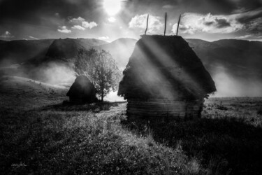 Photographie intitulée "Misty Morning" par Grigore Roibu, Œuvre d'art originale, Photographie numérique
