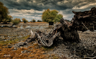 Photography titled "Drought" by Grigore Roibu, Original Artwork, Digital Photography