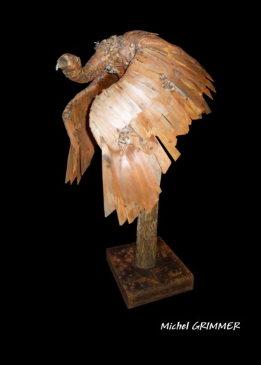Sculpture titled "Gyps Fulvus" by Michel Grimmer, Original Artwork, Metals