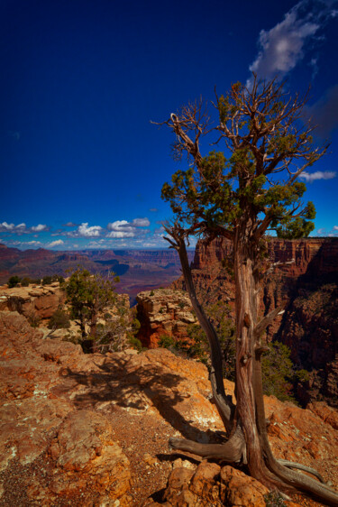 Photography titled "South Rim Grand Can…" by Citellus, Original Artwork, Digital Photography