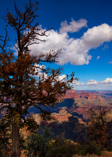 Photography titled "South Rim Grand Can…" by Citellus, Original Artwork, Digital Photography