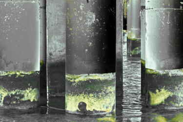 Фотография под названием "columns 9" - Harry Gruenert, Подлинное произведение искусства, Цифровая фотография