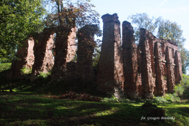 Fotografia zatytułowany „ruiny zamku w Małop…” autorstwa Grzegorz Pawlonka, Oryginalna praca, Fotografia cyfrowa