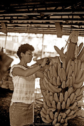 Photography titled "mamá United" by Guillermo Aurelio Barón Cabut, Original Artwork