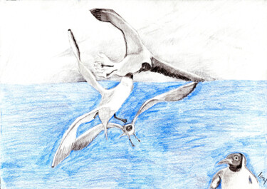 Tekening getiteld "Flug der Seemöwen" door Günter Ruhm, Origineel Kunstwerk, Potlood