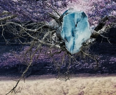 Arts numériques intitulée "Kraken" par Guillaume Vincent, Œuvre d'art originale, Photo montage