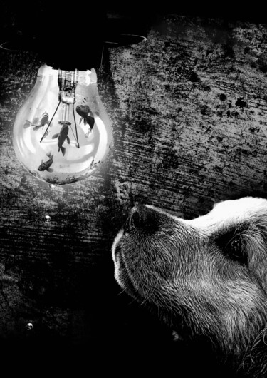 Digital Arts με τίτλο "Dog and the Light" από Guillaume Bellebault, Αυθεντικά έργα τέχνης, Φωτογραφία Μοντάζ