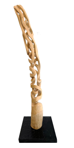 雕塑 标题为“Figuier Etrangleur” 由Guillaume Boisson, 原创艺术品, 木