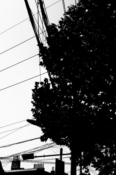 Photography titled "Un arbre dans la vi…" by Guillaume Canva (.cG.), Original Artwork, Digital Photography