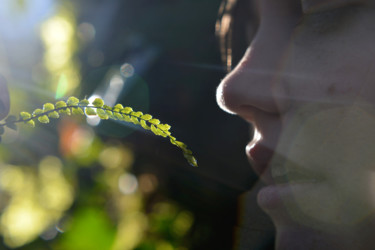 Photographie intitulée "Naturelle #5" par Guillaume Canva (.cG.), Œuvre d'art originale