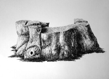 Dessin intitulée "Souche 1" par Guillaume Querré, Œuvre d'art originale, Graphite