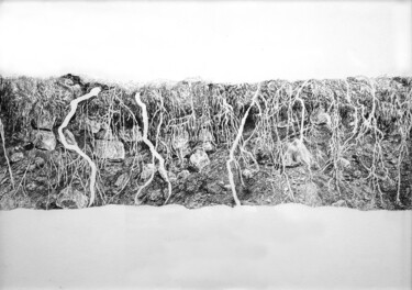 Tekening getiteld "l'effondrement" door Guillaume Querré, Origineel Kunstwerk, Grafiet