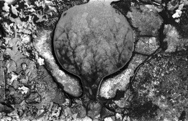 Photographie intitulée "Fontaine" par Guirec Monier, Œuvre d'art originale