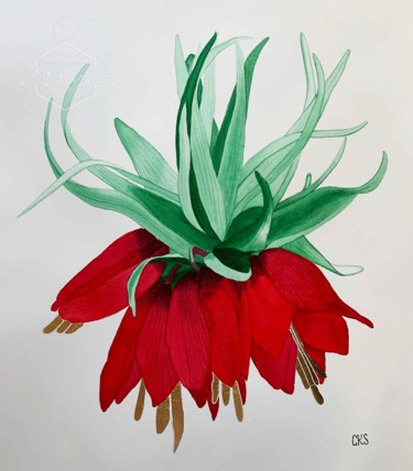 Painting titled "Fillitaria Eduardi…" by Karin Sarfati, Original Artwork, Watercolor