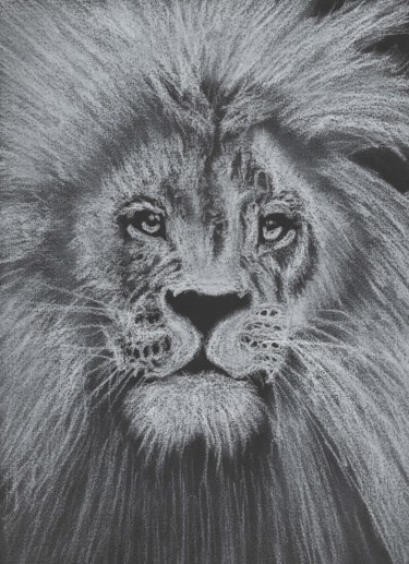 Рисунок под названием "Lion" - Gurvanart, Подлинное произведение искусства, Мел