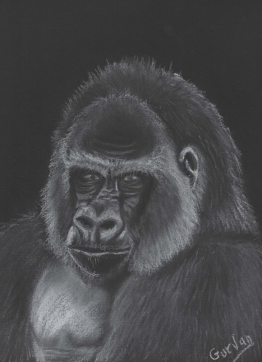 Peinture intitulée "Gorille" par Gurvanart, Œuvre d'art originale