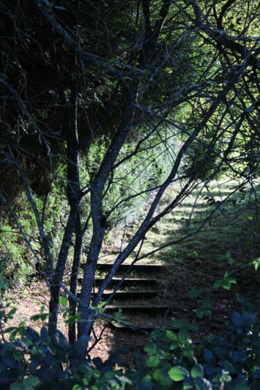 Photographie intitulée "Mysterious Stairs" par Gurvanart, Œuvre d'art originale, Photographie numérique