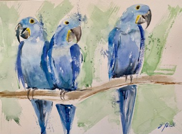 Pintura intitulada "Araras azuis" por Gustavo Bissolli, Obras de arte originais, Aquarela