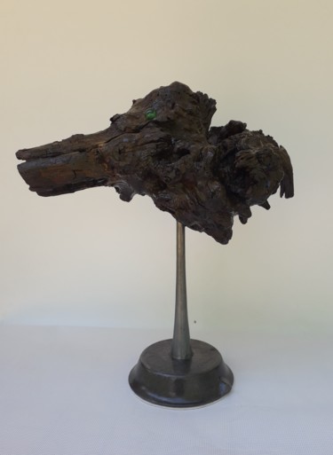 Skulptur mit dem Titel "Tête de crocodile o…" von Guy Romedenne, Original-Kunstwerk, Holz