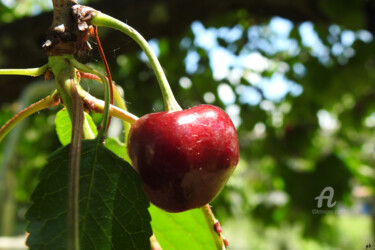 Photographie intitulée "La cerise" par Guylaine Bisson (GuyL'ART), Œuvre d'art originale, Photographie numérique