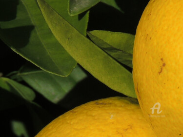 Fotografia intitolato "Les oranges" da Guylaine Bisson (GuyL'ART), Opera d'arte originale, Fotografia digitale