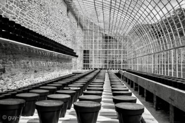 Photographie intitulée "1000 pots bétonnés…" par Guy Link, Œuvre d'art originale, Photographie numérique