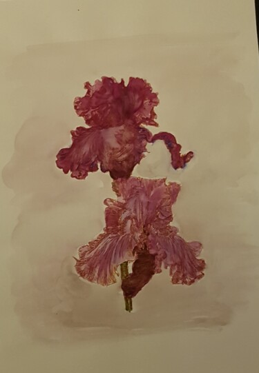 Painting titled "Iris plume" by Gwendolyn Jaafar, Original Artwork, Watercolor