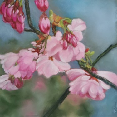 Sakura - 20210429 - Pastel sec Peinture intitulée "Sakura - 20210429 -…" par Gwenn Pinault, Œuvre d'art originale, Pastel