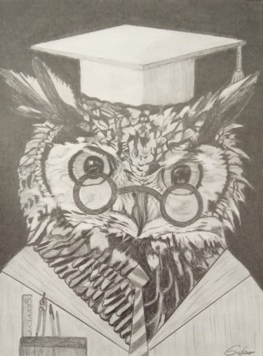 Dessin intitulée "Le hibou, professeu…" par Gwenolee Mahe, Œuvre d'art originale, Crayon