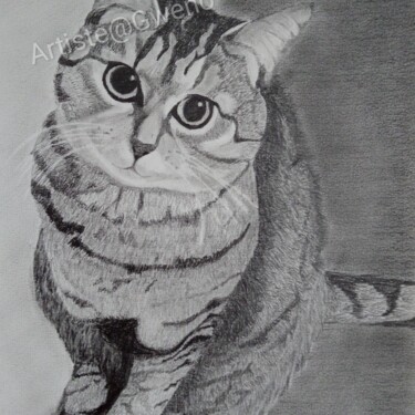 Dessin intitulée "Ton regard de chat…" par Gwenolee Mahe, Œuvre d'art originale, Crayon