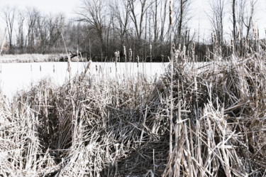 Photographie intitulée "Winter Texture" par Gwendolyn Roth, Œuvre d'art originale, Photographie numérique