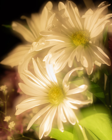 Photography titled "Bouquet 2" by Gwendolyn Roth, Original Artwork, Digital Photography