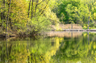 Fotografie mit dem Titel "Stillness" von Gwendolyn Roth, Original-Kunstwerk, Digitale Fotografie