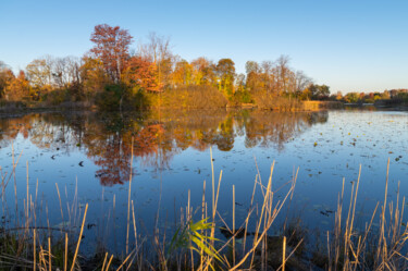 Photography titled "Still Blue Pond" by Gwendolyn Roth, Original Artwork, Digital Photography