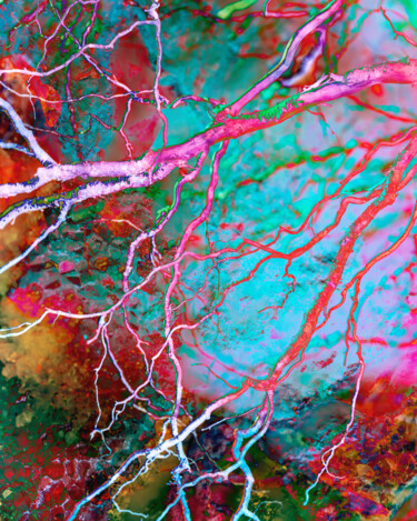 "Color Pallet 2" başlıklı Fotoğraf Gwendolyn Roth tarafından, Orijinal sanat, Dijital Fotoğrafçılık