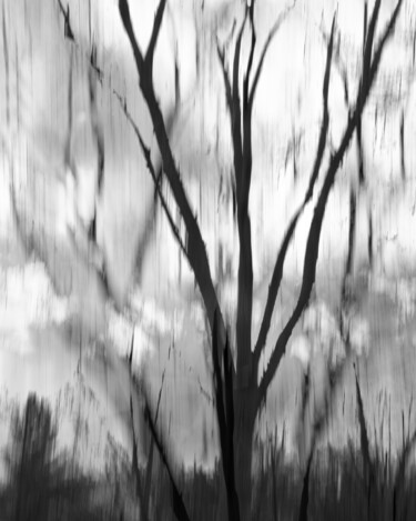 Photographie intitulée "Overcast with a Cha…" par Gwendolyn Roth, Œuvre d'art originale, Photographie numérique
