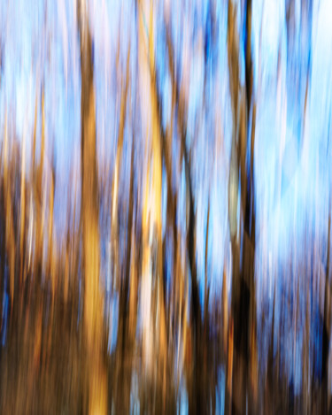 Fotografie mit dem Titel "Forest Fire" von Gwendolyn Roth, Original-Kunstwerk, Digitale Fotografie