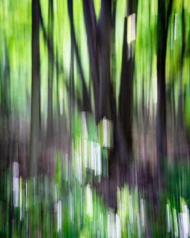 Photographie intitulée "Dappled Light" par Gwendolyn Roth, Œuvre d'art originale, Photographie numérique