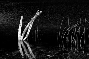 Photographie intitulée "Black and White" par Gwendolyn Roth, Œuvre d'art originale, Photographie numérique