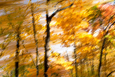 Фотография под названием "October Impressions" - Gwendolyn Roth, Подлинное произведение искусства, Цифровая фотография