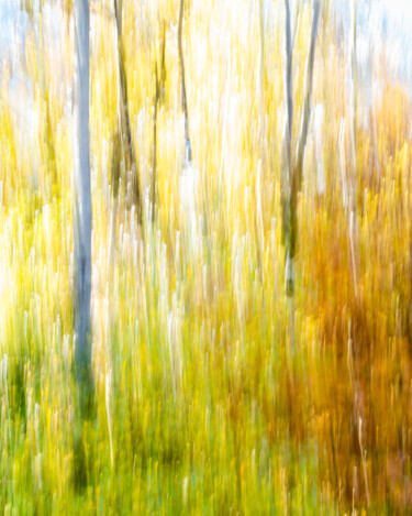 Fotografía titulada "Autumn Impression" por Gwendolyn Roth, Obra de arte original, Light Painting