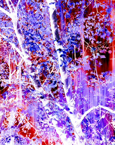 Fotografie getiteld "Purple Majesty" door Gwendolyn Roth, Origineel Kunstwerk, Digitale fotografie